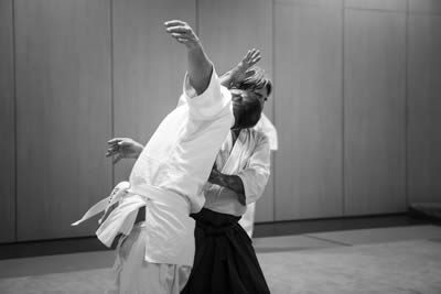 aikido bormes lavandou hyeres la londe var